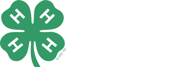 LEGO Building Sessions