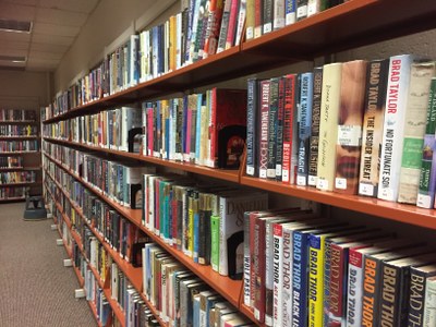 Library Shelves Picture